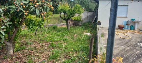 Дом с 4 спальнями в Томар, Португалия № 150852 48