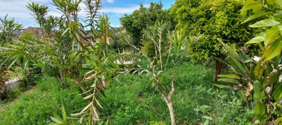 Дом с 4 спальнями в Томар, Португалия № 150852 44