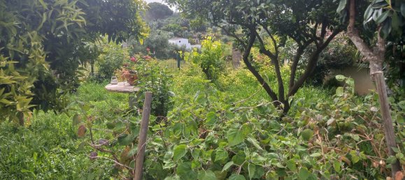 Дом с 4 спальнями в Томар, Португалия № 150852 46