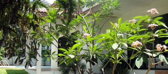 Кафе / ресторан с 4 спальнями в Паттайя, Таиланд № 4015 11