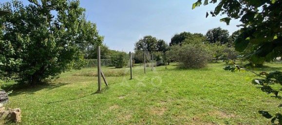 4 bedrooms House in Coullons, France No. 253974 18