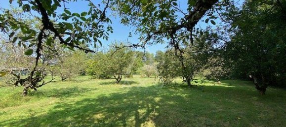 4 bedrooms House in Coullons, France No. 253974 19