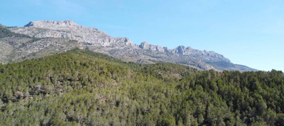 3 غرف نوم فيلا في Altea, Spain رقم 135709 42