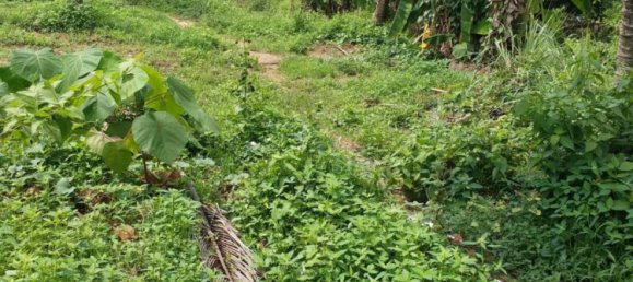 3104m² Commercial property in Pattaya, Thailand No. 16070 4