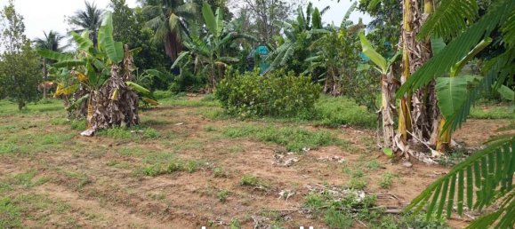 3104m² Commercial property in Pattaya, Thailand No. 16070 7