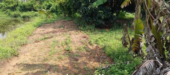 3104m² Commercial property in Pattaya, Thailand No. 16070 2