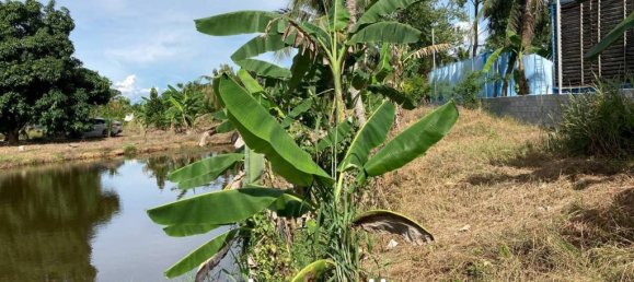 3104m² Commercial property in Pattaya, Thailand No. 16070 5