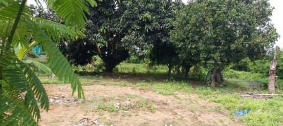 3104m² Commercial property in Pattaya, Thailand No. 16070 6