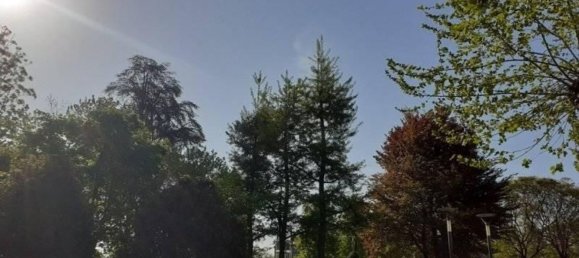 198m² Commercial property in Arona, Italy No. 303770 7