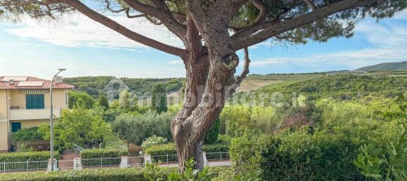 2 bedrooms Apartment in Rosignano Marittimo, Italy No. 284546 37