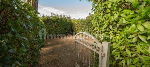 2 bedrooms Apartment in Rosignano Marittimo, Italy No. 284546 36