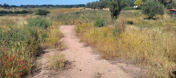 Grundstück in Rome, Italy 4000m², Nr. 304598 3