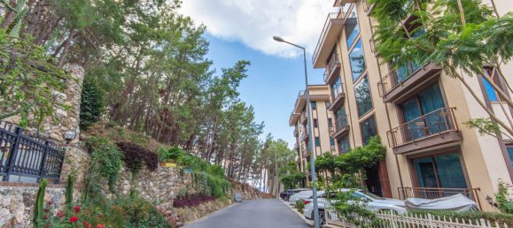 Penthouse 3+1 in Kargicak, Turkey No. 34243 17