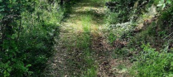 Grundstück in Krems an der Donau, Austria 8272m², Nr. 149273 9