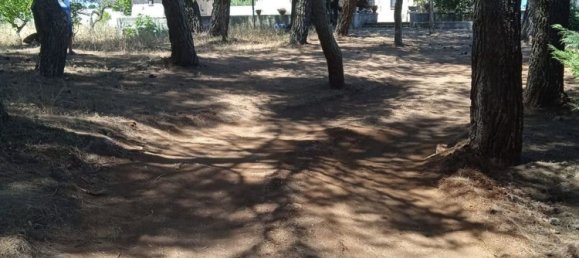 4 rooms Apartment in Martina Franca, Italy No. 71765 3