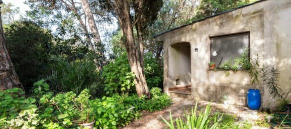 6 Schlafzimmer Villa in Cascais, Portugal, Nr. 119933 28