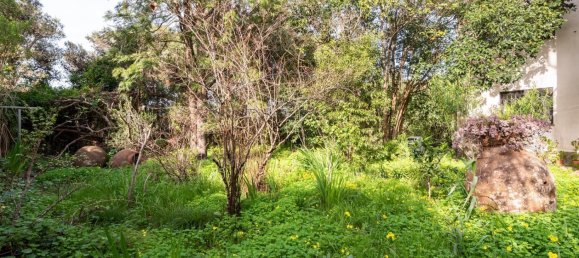 6 Schlafzimmer Villa in Cascais, Portugal, Nr. 119933 25