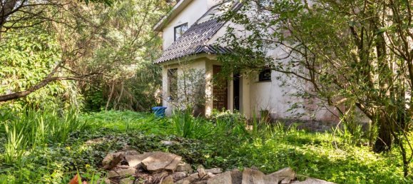 6 Schlafzimmer Villa in Cascais, Portugal, Nr. 119933 4