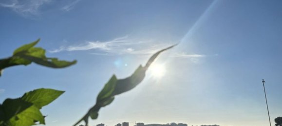 1 bedroom House in Porto, Portugal No. 294289 12