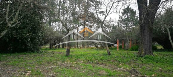 10 bedrooms House in Tramagal, Portugal No. 29950 11