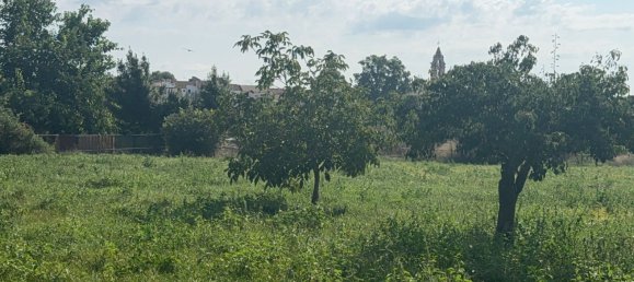 2700m² Land in Tarragona, Spain No. 138436 19