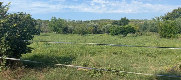2700m² Land in Tarragona, Spain No. 138436 17