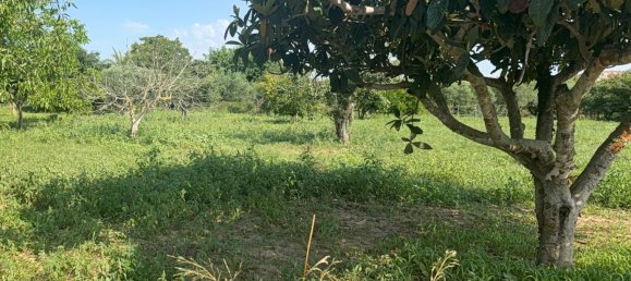 2700m² Land in Tarragona, Spain No. 138436 13