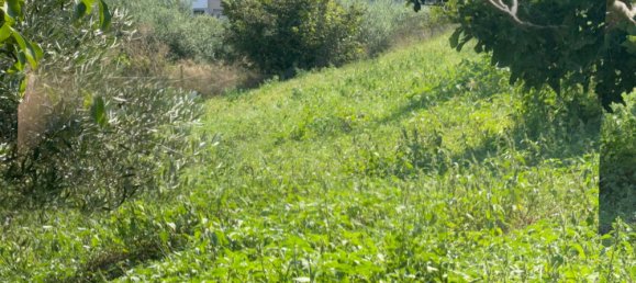 2700m² Land in Tarragona, Spain No. 138436 22