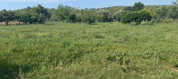 2700m² Land in Tarragona, Spain No. 138436 18