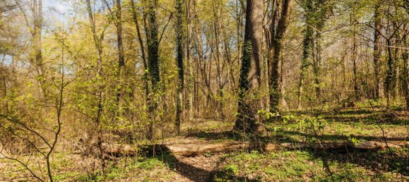 Квартира с 2 комнатами в Вальтендорф, Австрия № 160888 23