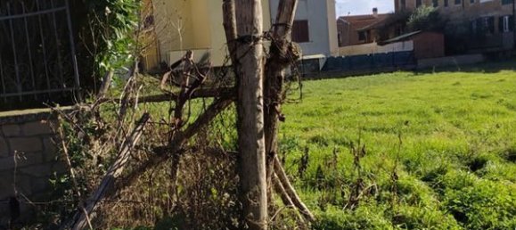 Grundstück in Vejano, Italy, Nr. 162110 3