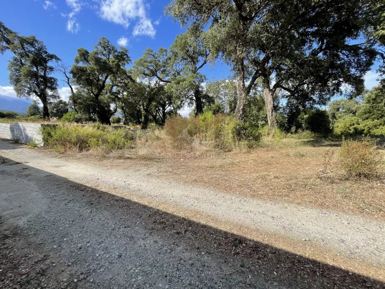 1943m² Land in Solaro, France No. 272666