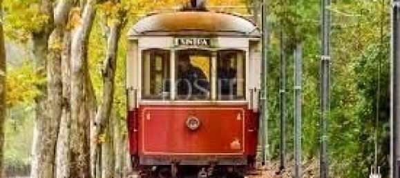 4 غرف نوم فيلا في Colares, Portugal رقم 120571 33