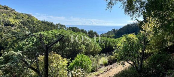 4 غرف نوم فيلا في Colares, Portugal رقم 120571 4