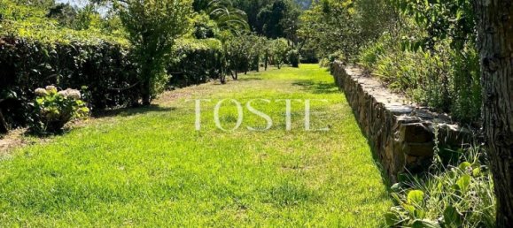 4 غرف نوم فيلا في Colares, Portugal رقم 120571 13