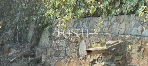 4 غرف نوم فيلا في Colares, Portugal رقم 120571 17