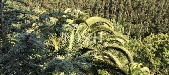 4 غرف نوم فيلا في Colares, Portugal رقم 120571 21