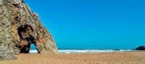 4 غرف نوم فيلا في Colares, Portugal رقم 120571 32