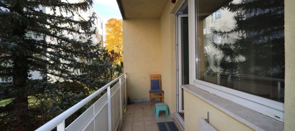 2 rooms Apartment in Baden, Austria No. 67087 11