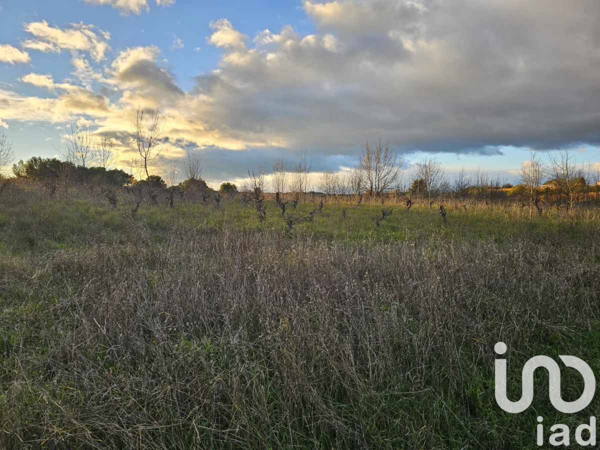 16415m² Land in Bassan, France No. 82688