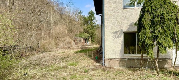 12 rooms Villa in Klosterneuburg, Austria No. 235631 6