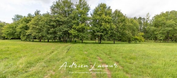 3 bedrooms Castles in Pruniers-en-Sologne, France No. 259693 18