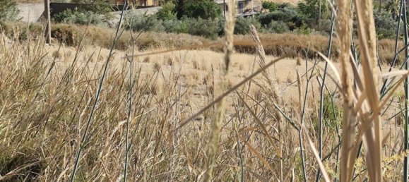 10160m² Land in Enna, Italy No. 256228 2