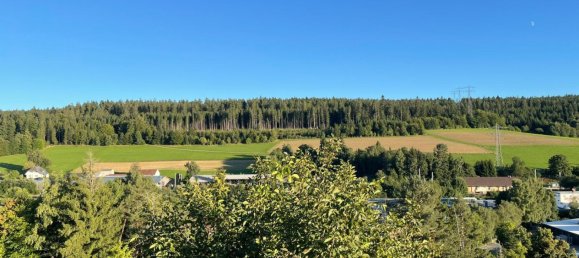 Квартира с 2 спальнями в Шварцвальд-Бар, Германия № 338238 17