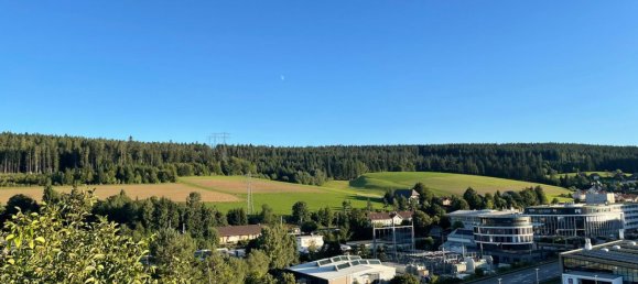 Квартира с 2 спальнями в Шварцвальд-Бар, Германия № 338238 18