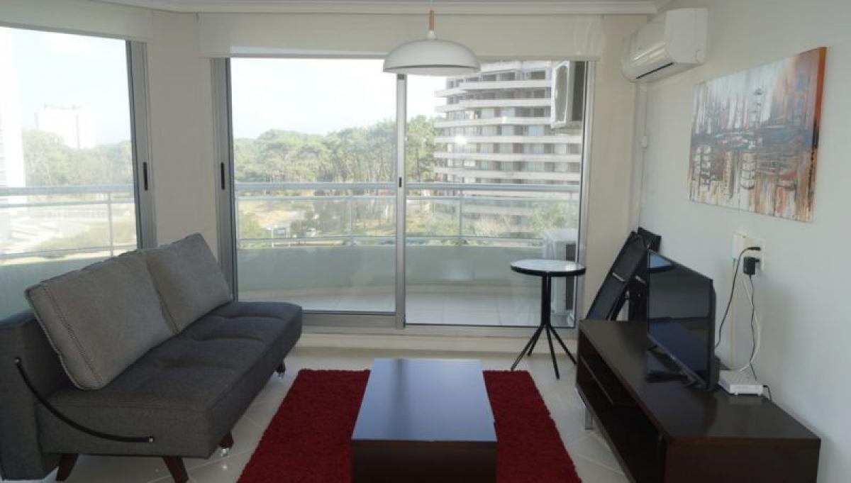 استوديو في Maldonado, Uruguay رقم 417