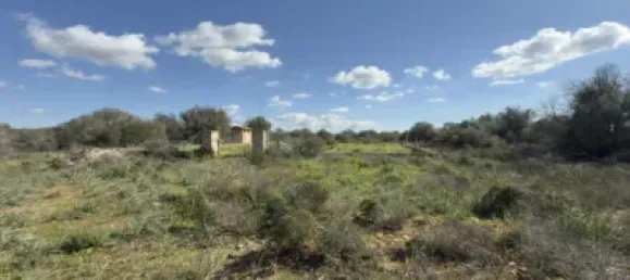 6 Schlafzimmer Haus in Llucmajor, Spain, Nr. 186822 23