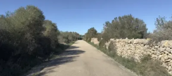 6 Schlafzimmer Haus in Llucmajor, Spain, Nr. 186822 19