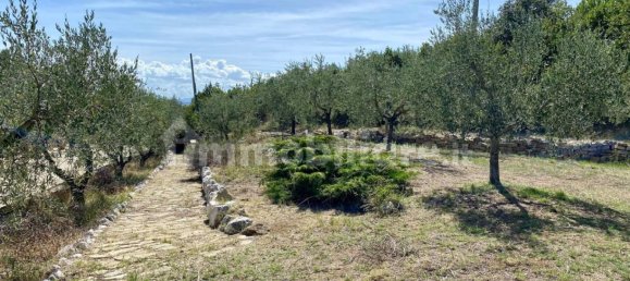 6 chambres Villa à Camerata Picena, Italy No. 340672 44