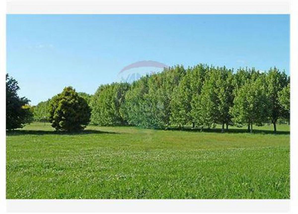 Terreno em Buenos Aires, Argentina N.º 118356